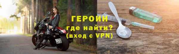 гашик Ельня