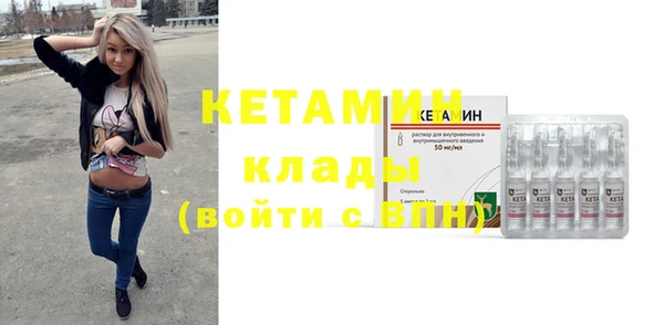 гашик Ельня