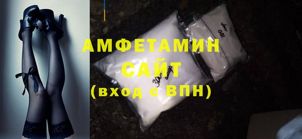 гашик Ельня