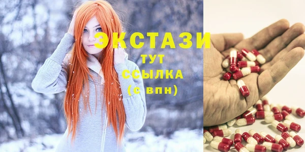 гашик Ельня