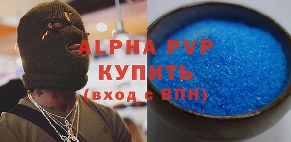 гашик Ельня