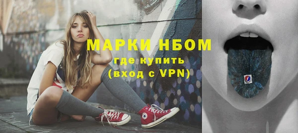 гашик Ельня